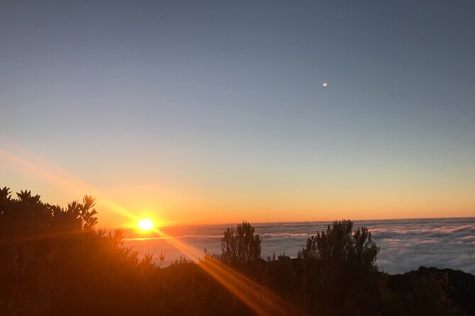 Fanal Forest Private Sunset Hike - Fanal at Sunset: Why This Walk Feels Special in Madeira