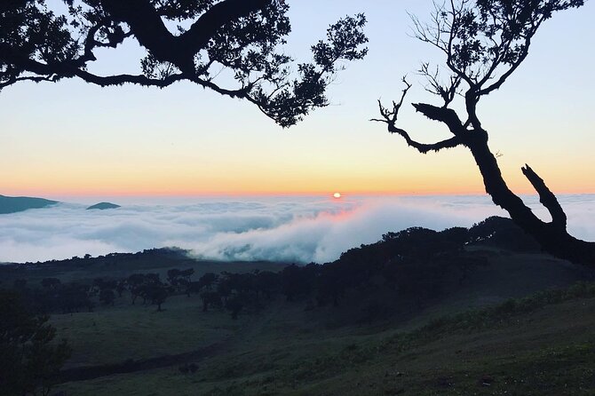 Fanal Forest Private Sunset Hike - After the Hike: Extra Madeiran Flavor You Might Be Offered