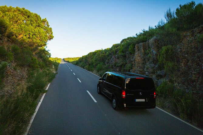 Fanal & Porto Moniz - West Madeira Tour - Paul da Serra plateau: a high-elevation breath of air