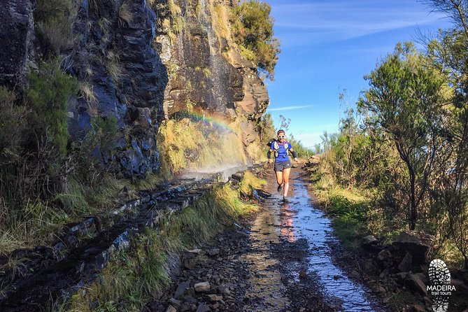 Folhadal Hidden Treasures Running Tour (Moderate) - Waterfalls and quiet trail time you do not get in town
