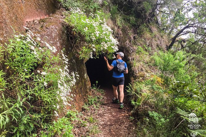 Folhadal Hidden Treasures Running Tour (Moderate) - Second leg: the step climb for mountain views