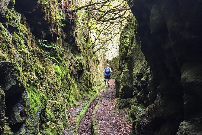 Folhadal Hidden Treasures Running Tour (Moderate) - First leg: levada flats, forest humidity, and two tunnel crossings