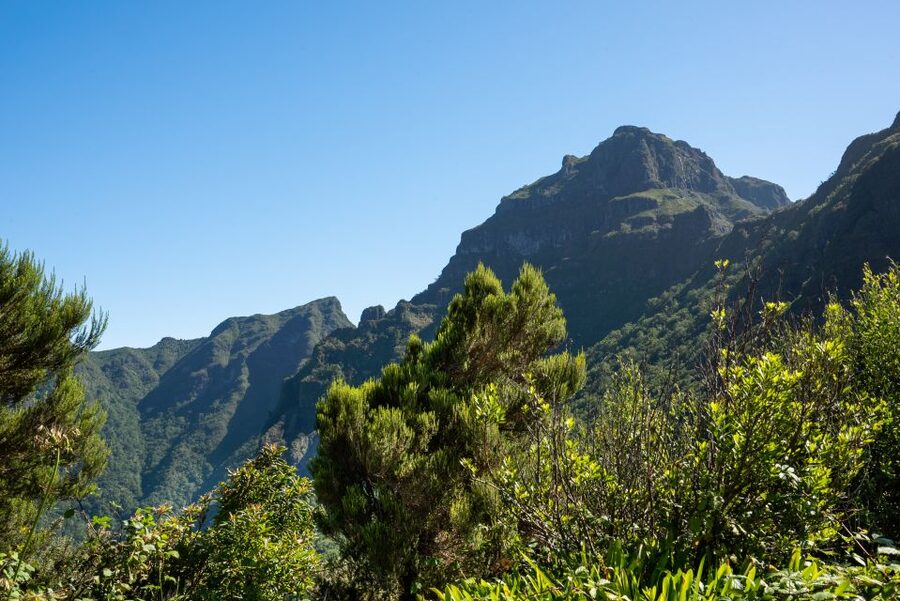 From Funchal: Best of Madeira's West Tour - Price and value: is the $42 per person a fair deal?