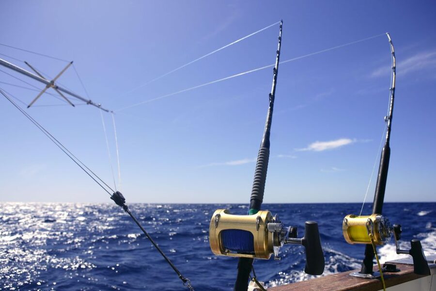From Funchal : Big Game Fishing boat trip - What you will do on the water: bottom fishing and trolling