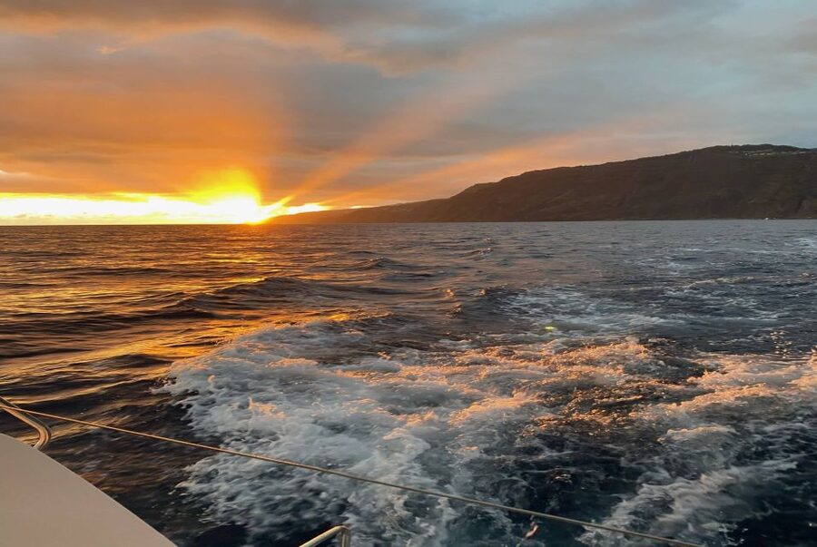 From Funchal: Cabo Girao Sunset Cruise on Luxury Catamaran - Onboard Setup: Bathrooms, Guide, and Drinks You Can Buy