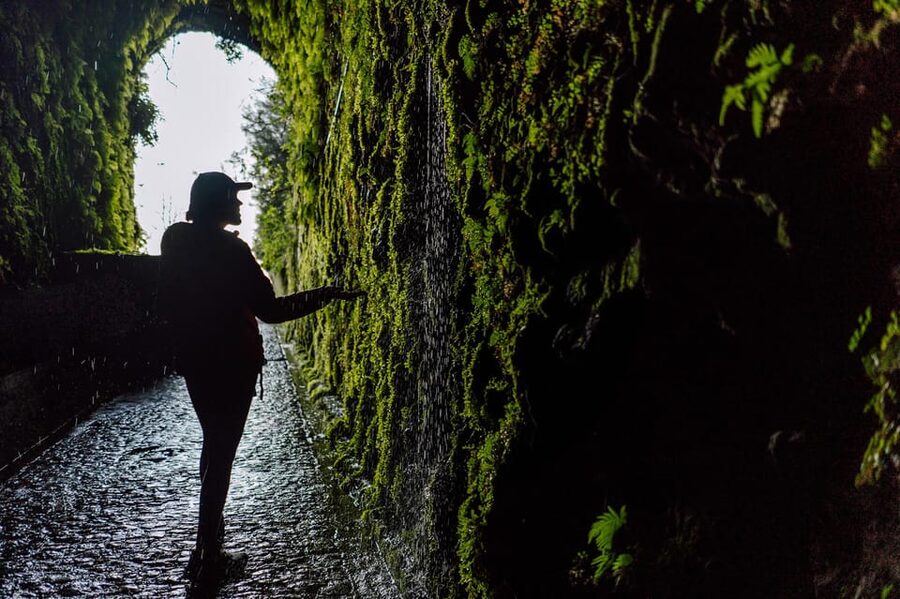 From Funchal/Caniço: Rabaçal Hike (25 Fontes) Bus Transfer - Key things to know before you go