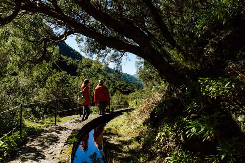 From Funchal/Caniço: Rabaçal Hike (25 Fontes) Bus Transfer - Self-guided 25 Fontes: What your walking block is really for