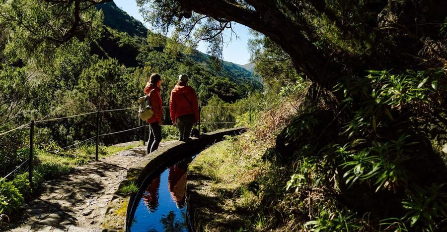 From Funchal/Caniço: Rabaçal Hike (25 Fontes) Bus Transfer - The timing that matters: 9:15 arrival and the 2:30 pm tunnel return