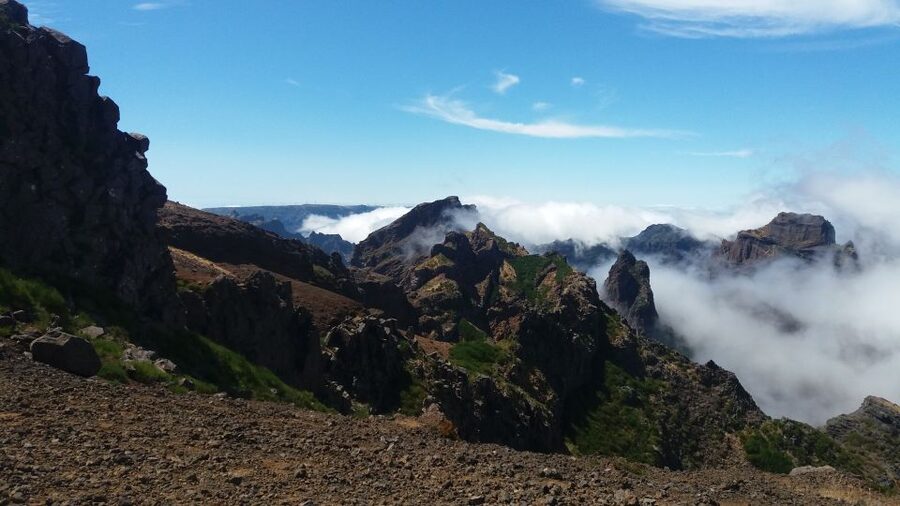 From Funchal: East Tour Madeira 4x4 Jipe Tour Santana Houses - Lombo Galego Off-Road Adventure: Why You Came in the Jeep