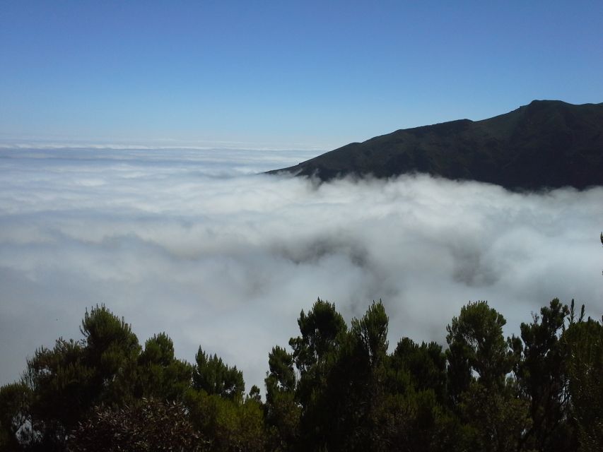 From Funchal: East Tour Madeira 4x4 Jipe Tour Santana Houses - How the Guides Make or Break the Day (And Why This One Gets High Marks)