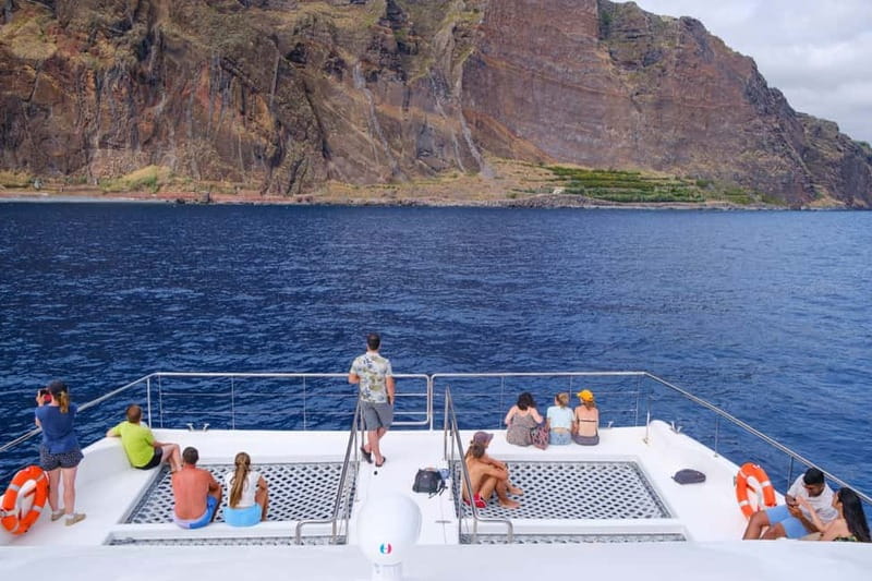 From Funchal: Ecological Catamaran Dolphin Whale Watching - Key Points You Should Know Before You Go