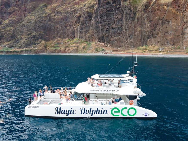 From Funchal: Ecological Catamaran Dolphin Whale Watching - How the Spotting Works, and Why It Helps Your Chances