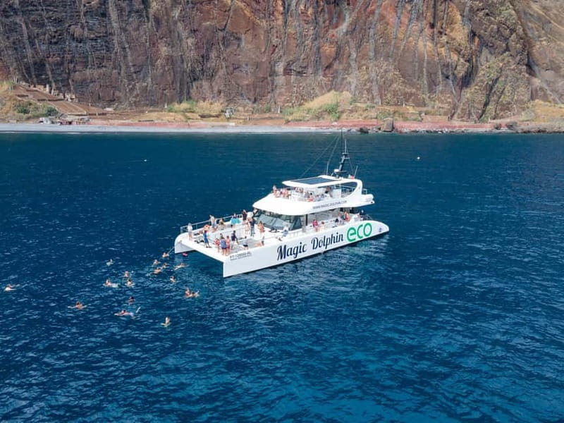 From Funchal: Ecological Catamaran Dolphin Whale Watching - What You Can Expect Offshore: Dolphins, Whales, and the “Not Guaranteed” Reality