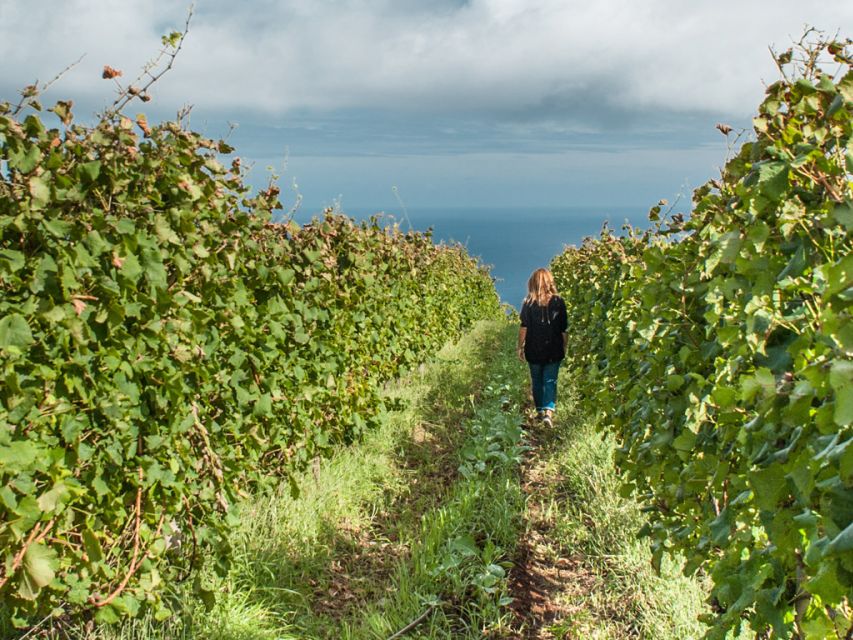 From Funchal: Full-Day Madeira Wine Tour with Lunch - São Vicente lunch at the vineyard: espetada plus wines, without the rushed feeling