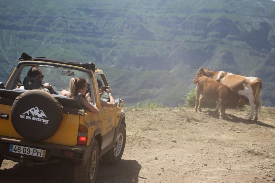 From Funchal: Guided Tour of Madeira Mountains in a Jeep - Practical advice: what to bring, and what to avoid