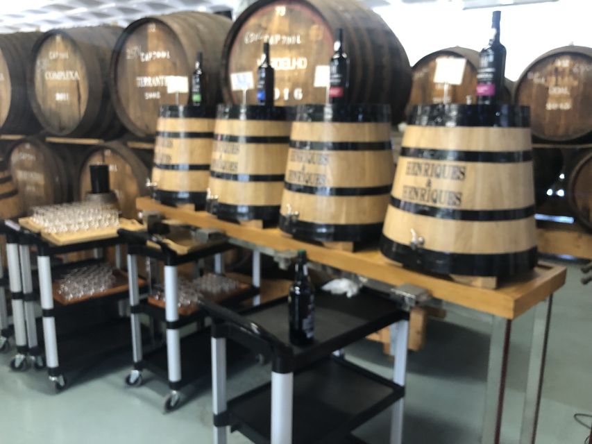 From Funchal: Jeep Tour with Madeira Wine Tasting - Wine tasting details: what you get and why it is timed well