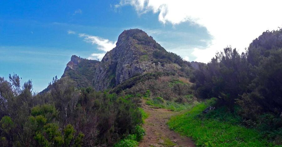 From Funchal: Machico to Porto da Cruz Larano Cliff Hike - Key things I’d zoom in on before you book