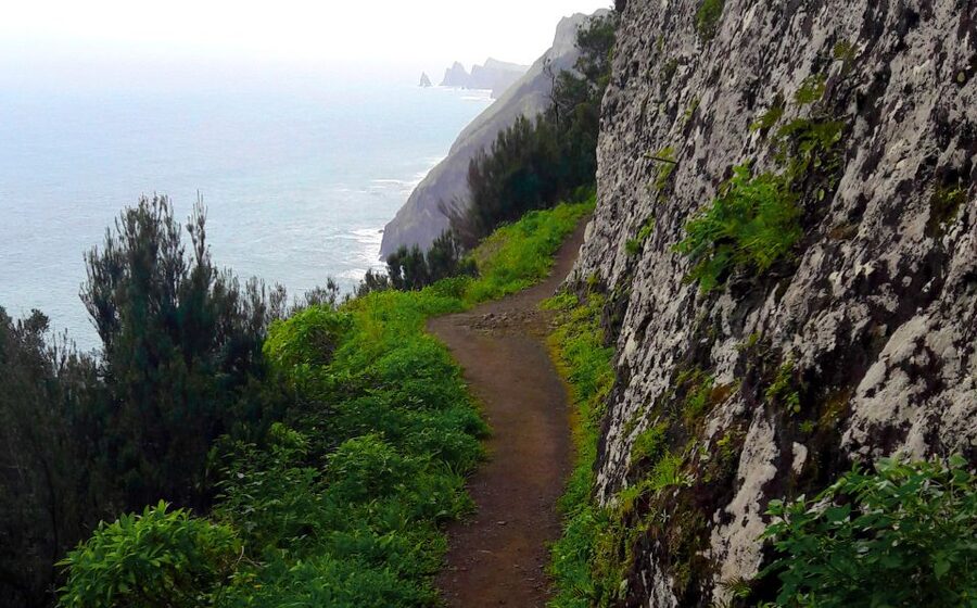 From Funchal: Machico to Porto da Cruz Larano Cliff Hike - From Machico farm fields to the first ocean views