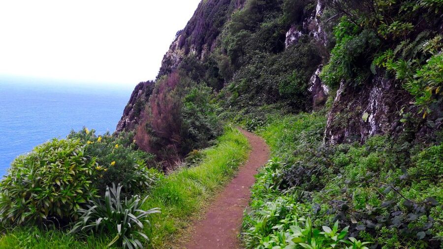 From Funchal: Machico to Porto da Cruz Larano Cliff Hike - The cliffside traverse, where you get the big payoff
