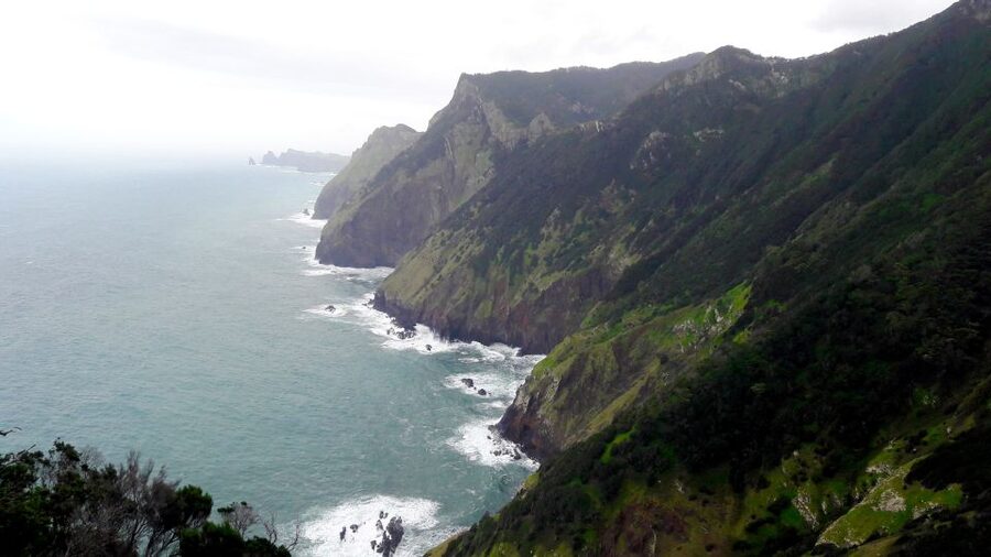 From Funchal: Machico to Porto da Cruz Larano Cliff Hike - The return to Funchal, and why it feels smoother than you expect