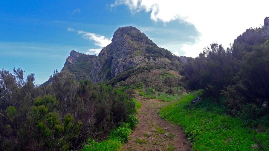 From Funchal: Machico to Porto da Cruz Larano Cliff Hike - Getting picked up in Funchal and riding to Machico