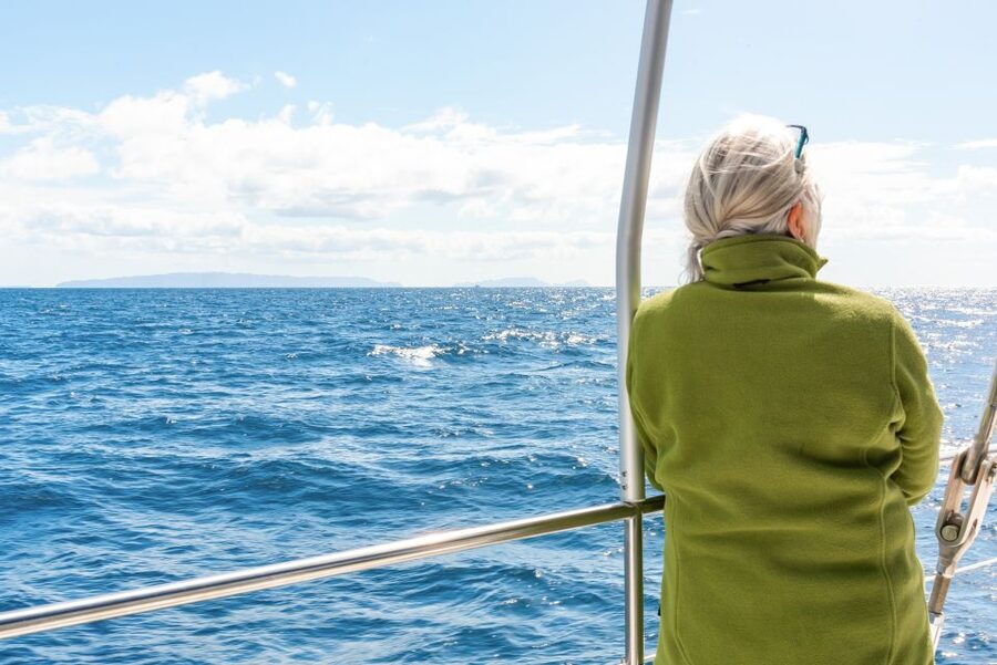 From Funchal: Madeira Dolphin and Whale Watching Tour - Madeira From the Water, Not From the Road
