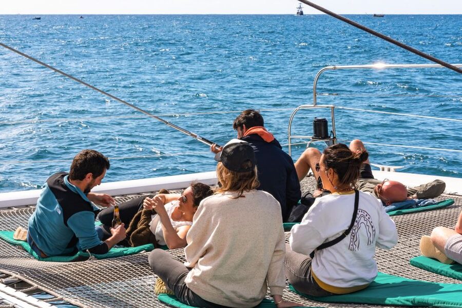 From Funchal: Madeira Dolphin and Whale Watching Tour - The Dolphin and Whale Search Off Funchal: What Happens First