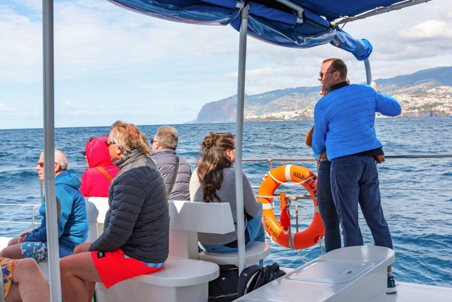 From Funchal: Madeira Dolphin and Whale Watching Tour - Cabo Girão Swim Stop in Summer: The Best Part You Can Actually Do