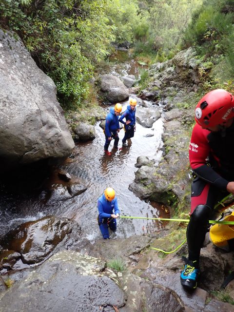 From Funchal: Madeira Island Canyoning for Beginners - Final Call: Should You Book Fast Rope Madeira for Beginner Canyoning?