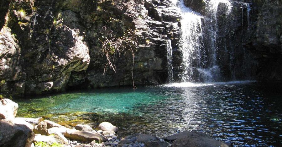 From Funchal: Madeira Lakes Levada Guided Hike - Key Highlights You Should Know Before You Go