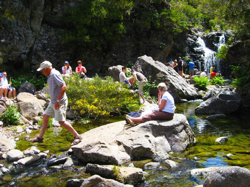 From Funchal: Madeira Lakes Levada Guided Hike - Levada do Alecrim: Forest Sounds, Bird Calls, and Water Shaped by Time