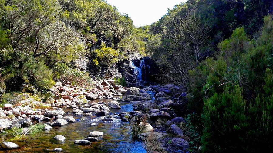 From Funchal: Madeira Lakes Levada Guided Hike - The Uphill Payoff: Reaching an Ancient Mountain for Views