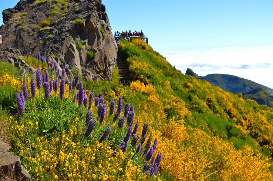 From Funchal: Madeira Peaks Mountain Walk - FAQ