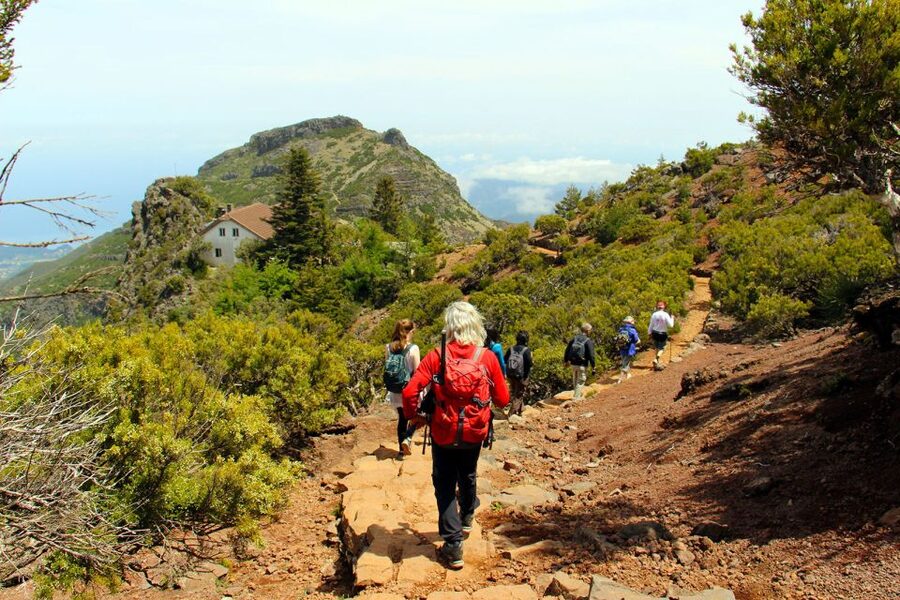From Funchal: Madeira Peaks Mountain Walk - The Real Walk Begins: Rock Formations, Steps, and Views on Almost Every Turn