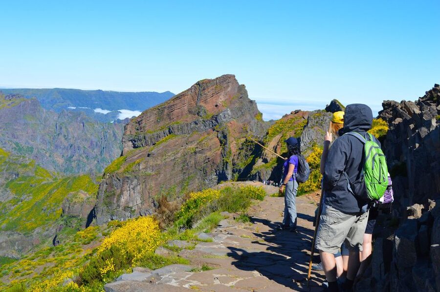 From Funchal: Madeira Peaks Mountain Walk - Reaching Pico Ruivo: The Highest Point Stop and That Coast-to-Coast Moment