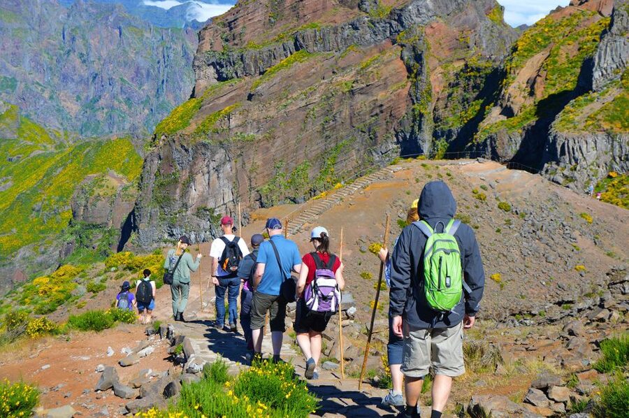 From Funchal: Madeira Peaks Mountain Walk - When Weather Changes the Plan: A Coastal Backup You Might Get