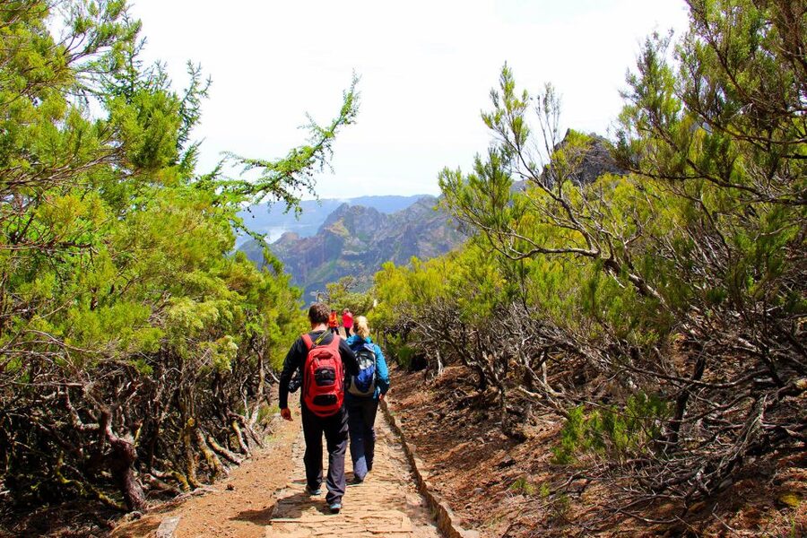 From Funchal: Madeira Peaks Mountain Walk - Who Should Book, and Who Should Skip This One