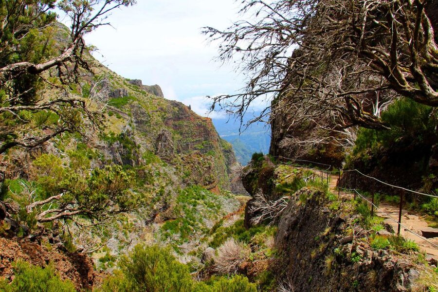 From Funchal: Madeira Peaks Mountain Walk - Should You Book the Madeira Peaks Mountain Walk?