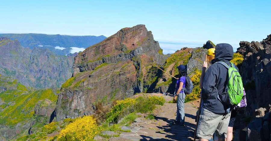 From Funchal: Madeira Peaks Mountain Walk - Heather Forest Near Pico Ruivo: The Quiet Part That Feels Big