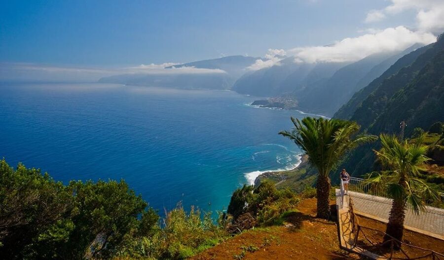From Funchal: North Coast Day Trip - Cabanas de São Jorge: Vineyards, Sea Views, and a Village Moment
