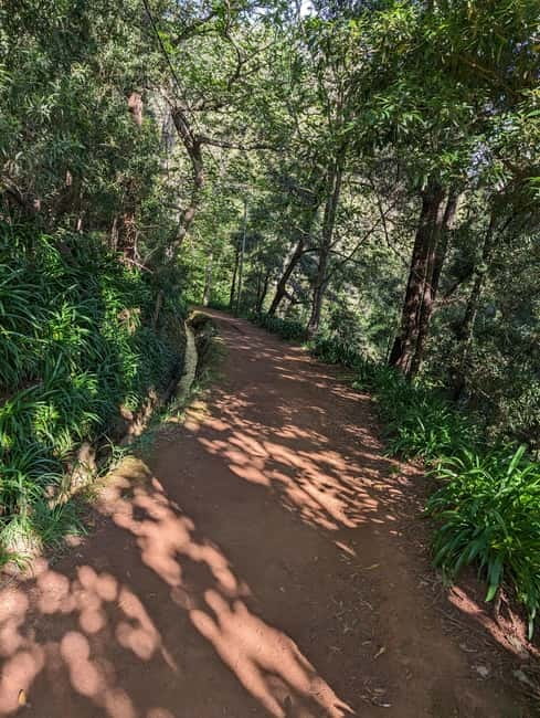 From Funchal: Pico Arieiro Sunrise with Optional Breakfast - Optional Breakfast at a Refurbished Old Mill