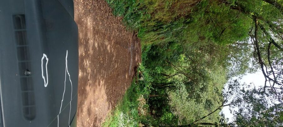 From Funchal: Pico Do Arieiro and Santana Full-Day 4x4 Tour - Key Highlights Worth Showing Up For