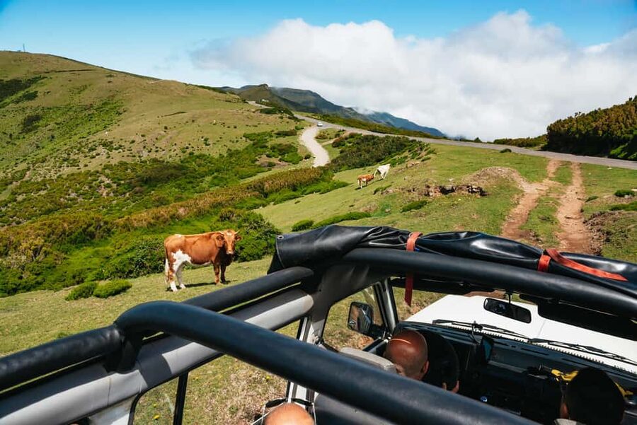 From Funchal: Porto Moniz and Seixal Day Tour by Jeep - Paúl da Serra Plateau: Panoramas Plus Off-Road Terrain