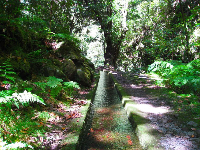 From Funchal: São Jorge Valleys Levada Walk - Key Highlights You Should Know