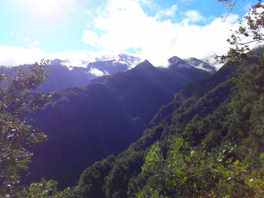 From Funchal: São Jorge Valleys Levada Walk - Who Should Book This Levada Walk