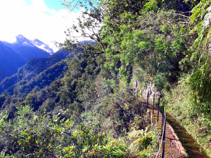 From Funchal: São Jorge Valleys Levada Walk - Entering Madeira by Levada, Not by Car