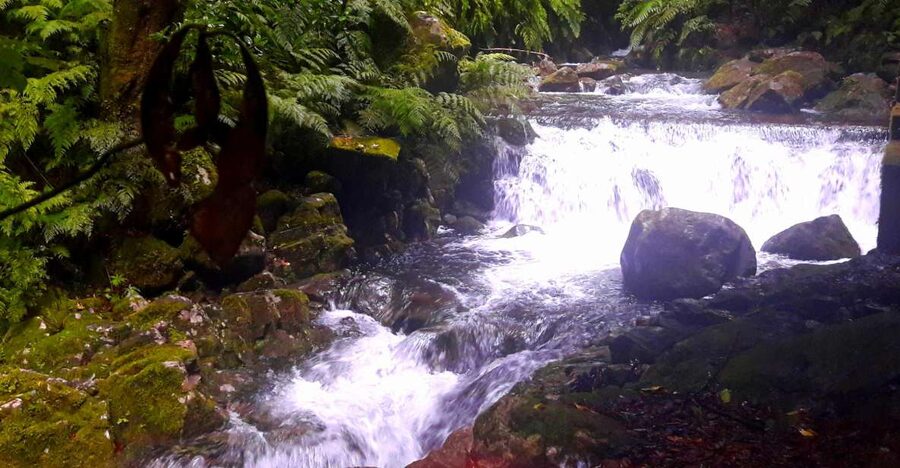 From Funchal: São Jorge Valleys Levada Walk - Waterfall Moments That Actually Get You Wet