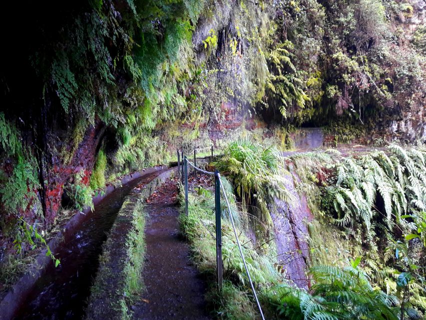 From Funchal: São Jorge Valleys Levada Walk - Stops, Break Time, and the Real Pace of an 8-Hour Day