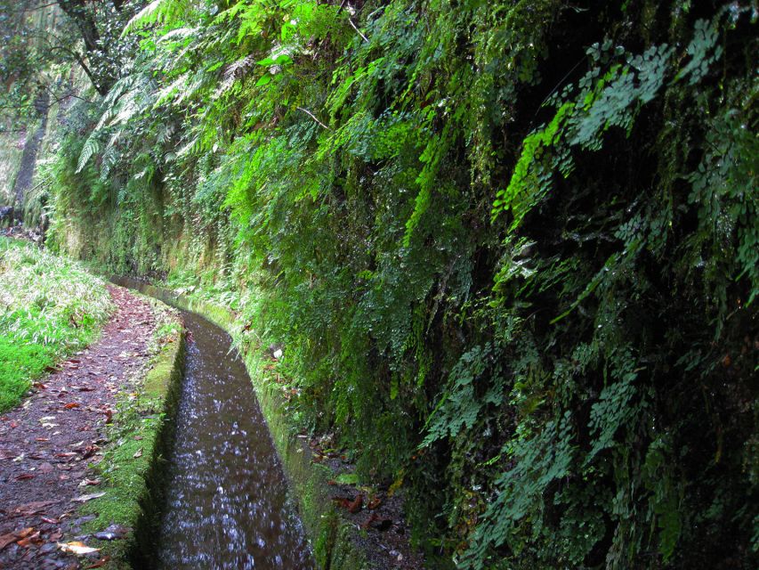 From Funchal: São Jorge Valleys Levada Walk - Logistics That Affect Comfort: Getting There From Funchal