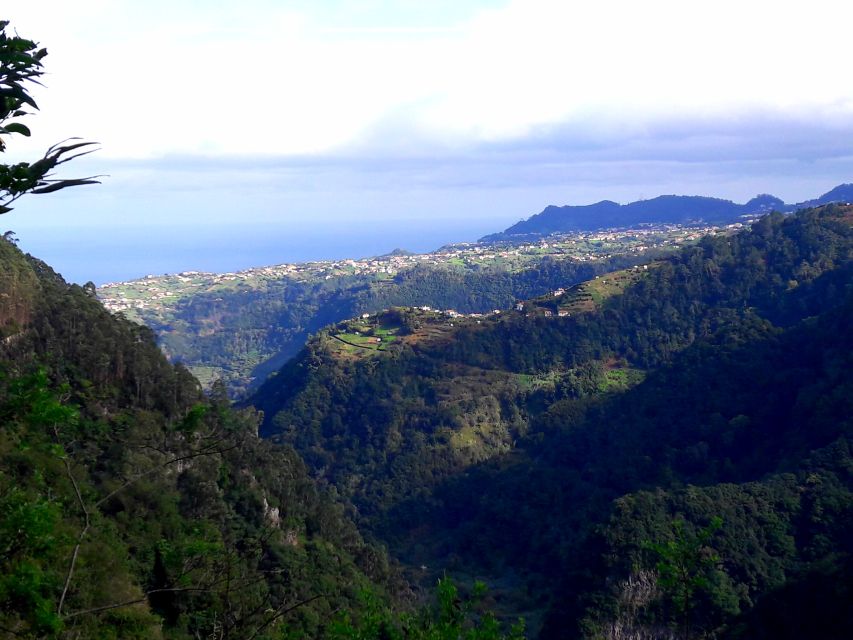 From Funchal: São Jorge Valleys Levada Walk - What to Bring So You Can Enjoy Every Step